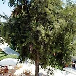 Milton Ξενοδοχείο 2*
